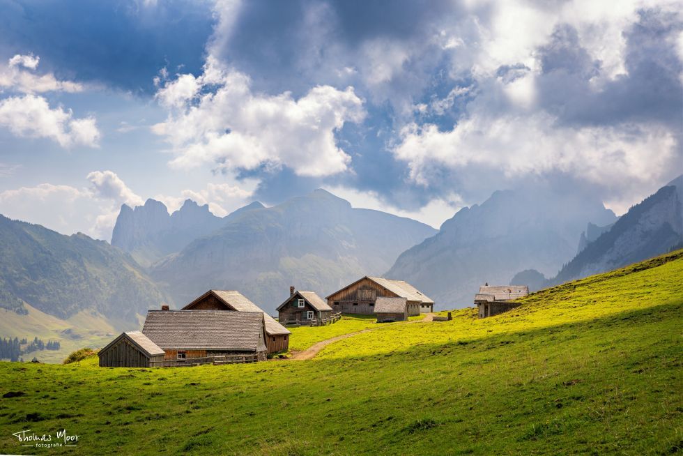 Thomas Moor Fotografie für Tier & Landschaftsfotografie
