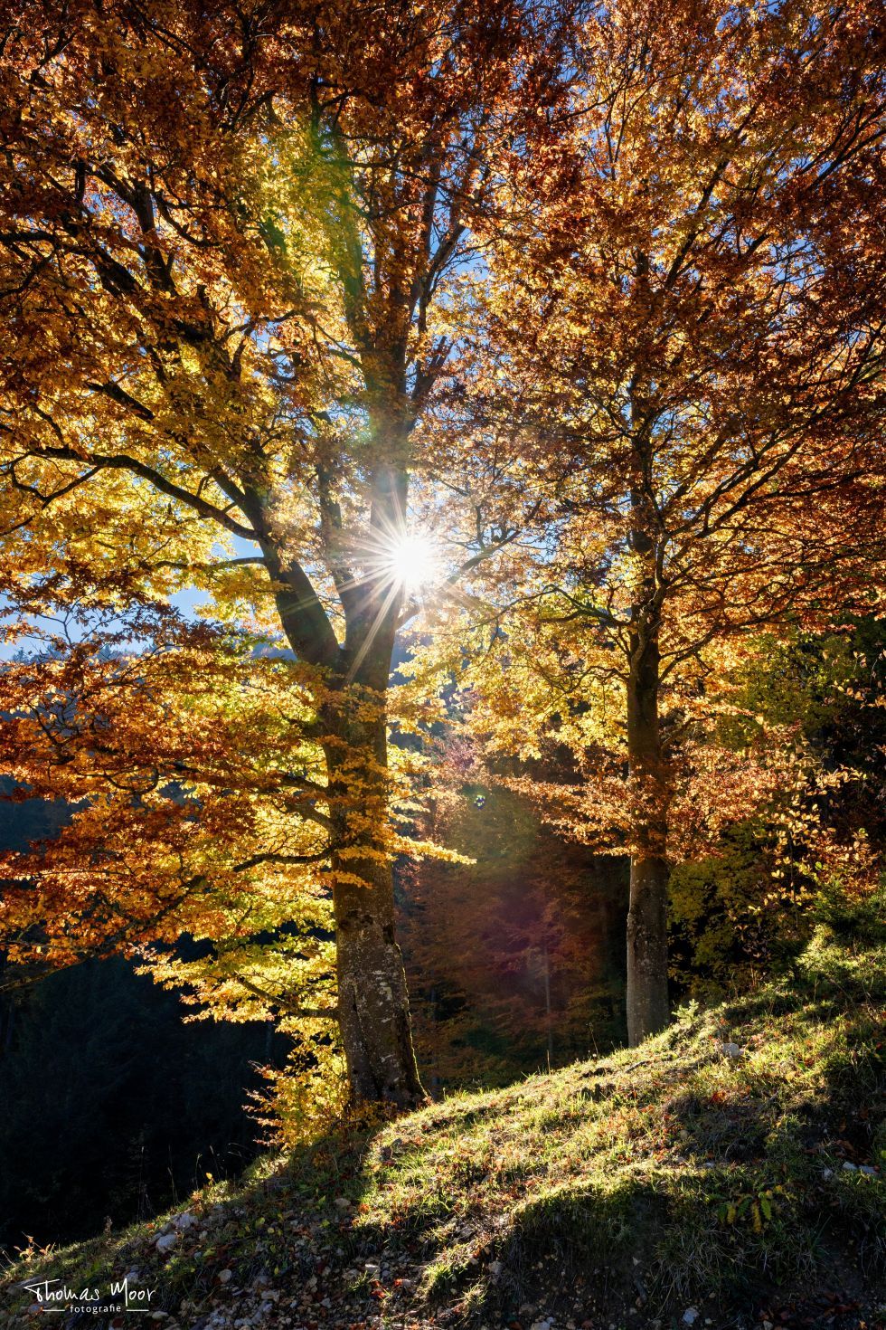 Herbstwunderland von Thomas Moor Fotografie